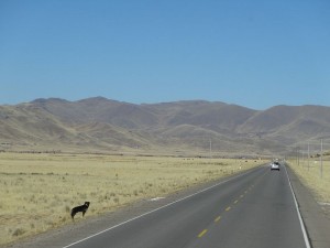 DSC03432
