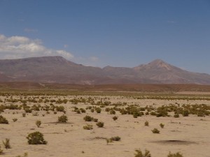 DSC04067