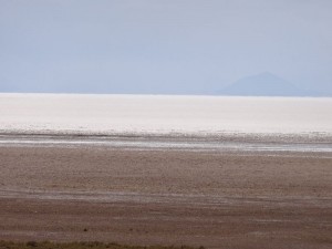 DSC04116