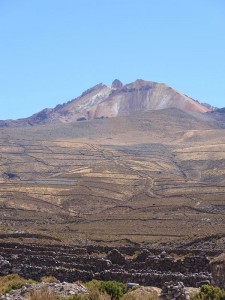 DSC04513