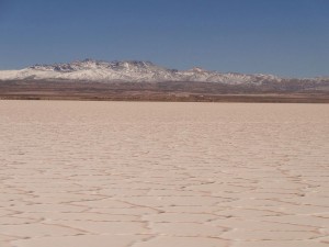 DSC04584