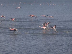DSC04610