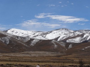 DSC04651