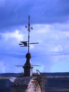 P1010486