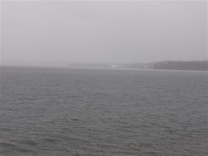 P1030534