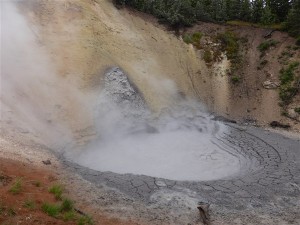 P1030561