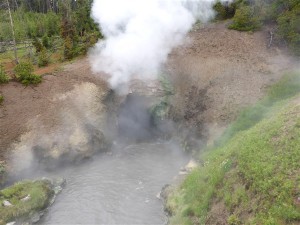 P1030566