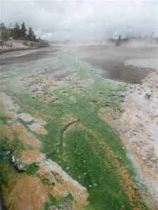 P1030733