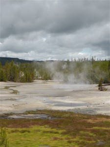 P1030821