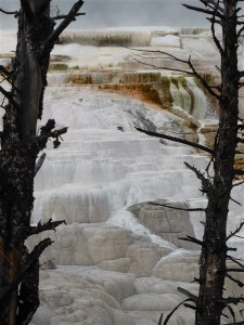 P1030865