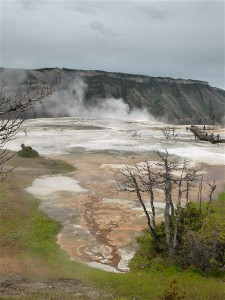 P1030873