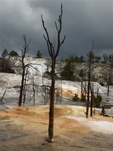 P1030900