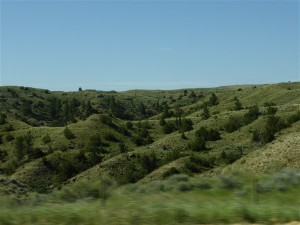 P1040154