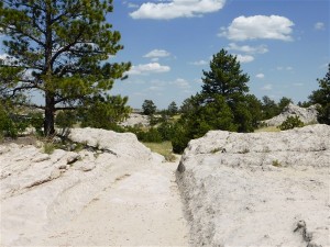 P1040476