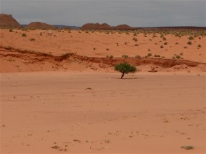P1050274