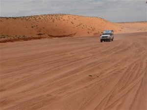 P1050278