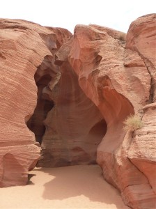 P1050431