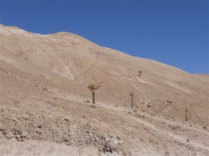 P1080061
