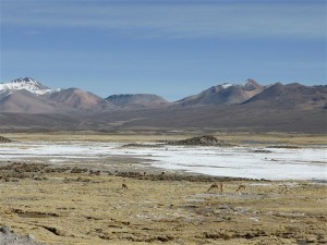 P1080091