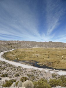 P1080109