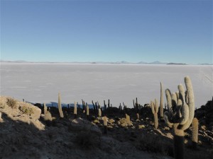 P1090094