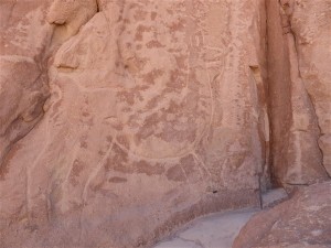 P1090334