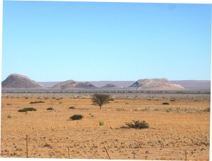 P1100046