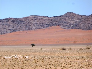 P1100088