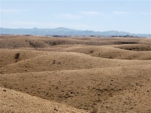 P1100098