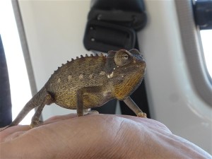 P1100134