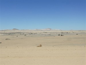 P1100135
