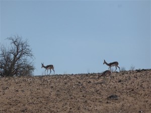 P1100531