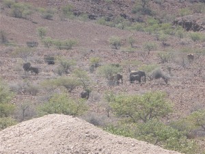 P1100543