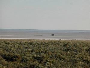 P1100819