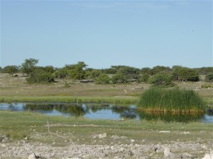 P1100823