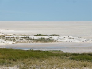 P1100833