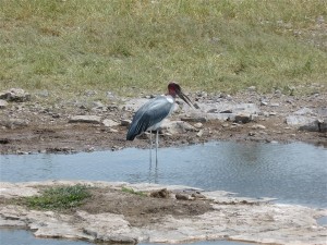 P1100917