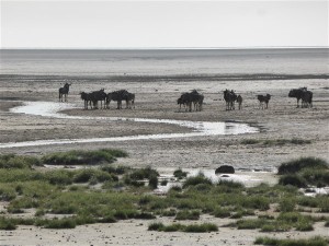 P1100963