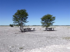 P1100986