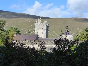 p1120596