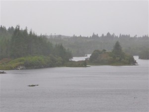 p1120754
