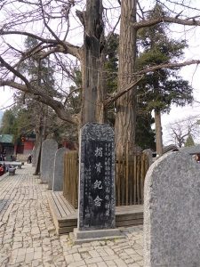 P1140829