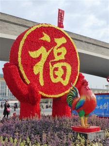 P1150032