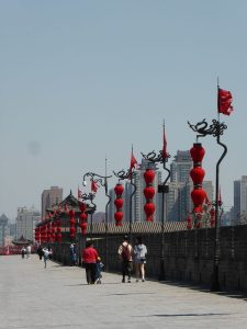 P1150199