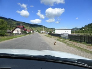 P1160515