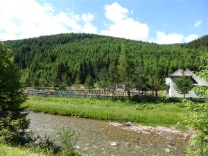 P1160525
