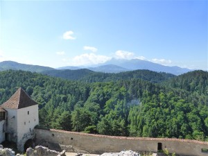 P1170377