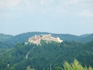 P1170411