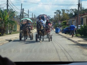 P1000650