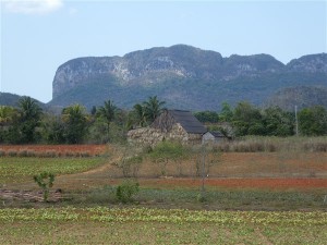 P1000663